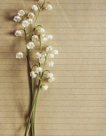 pexels-photo-459335-459335-2